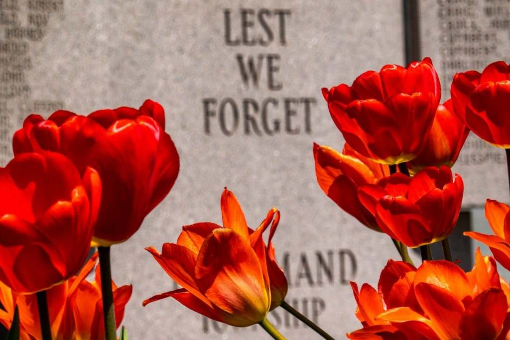 Wrongful Death Lawyer in Rego Park