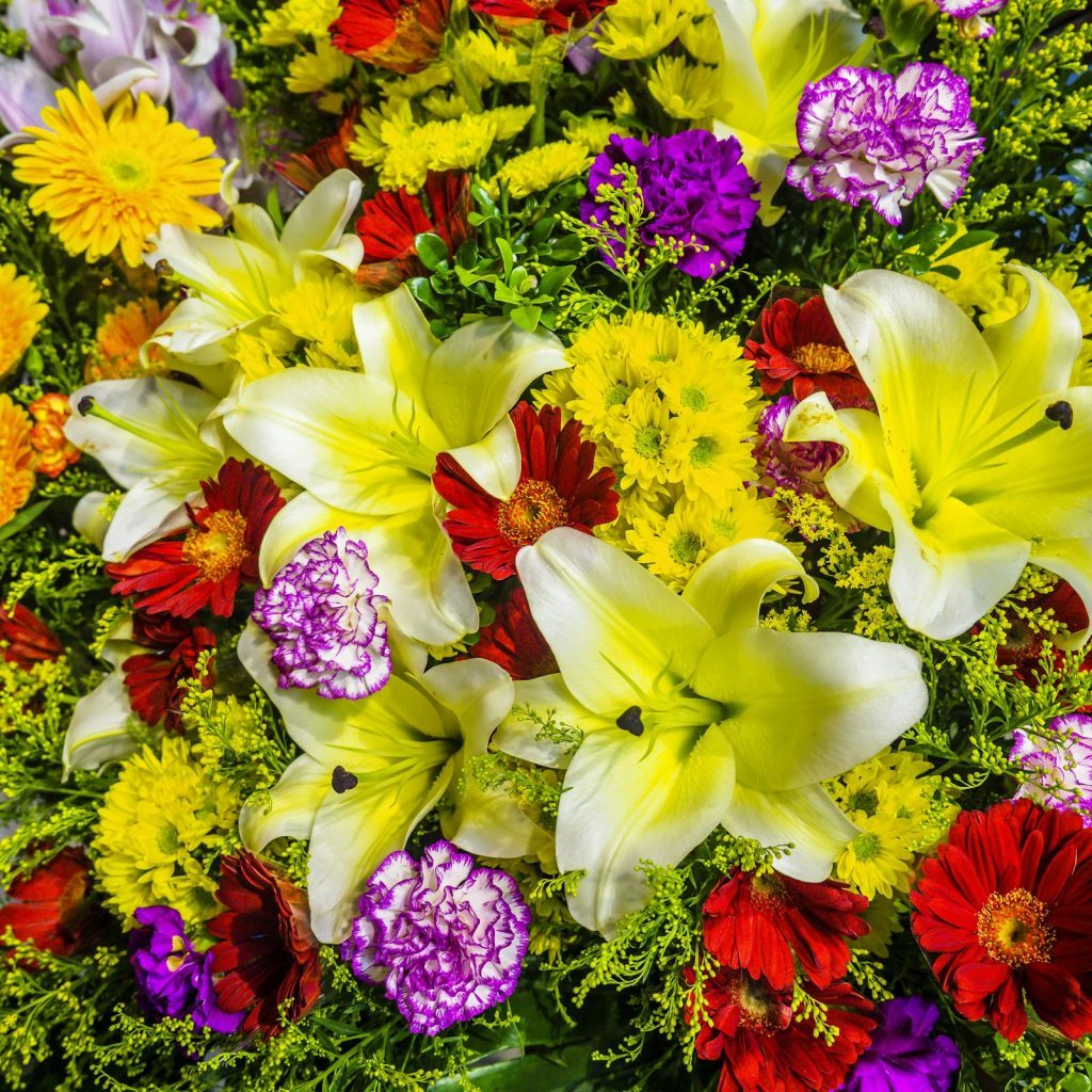 Wrongful Death Lawyer in Rego Park